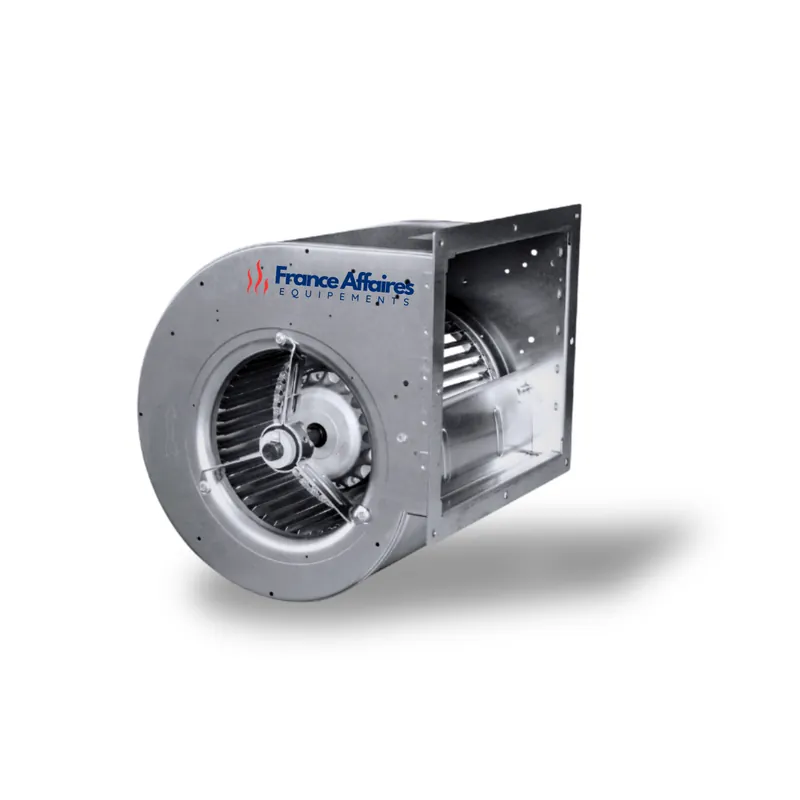 MOTEUR NICOTRA DDM 7/7.300.4 – vue 1